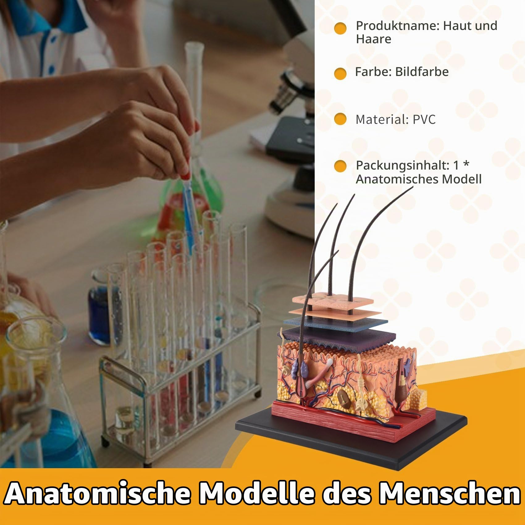 Menschliche Anatomie Haut Anatomie Modell, 3D-Hautschichten Anatomisches Puzzle Modell Für Medizinische Lehr, Human Anatomie-Modell, Geschenkidee für Krankenschwestern und Medizinstudenten