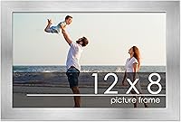 Vista 96 de Marco de 28 x 36 pulgadas de madera de peltre plateado con plexiglás acrílico UV, parte trasera de tablero de espuma y accesorios incluidos