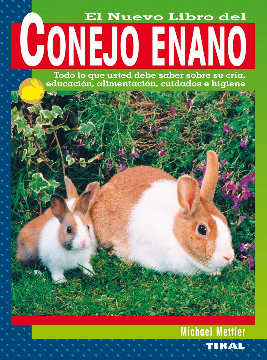 Conejo Enano