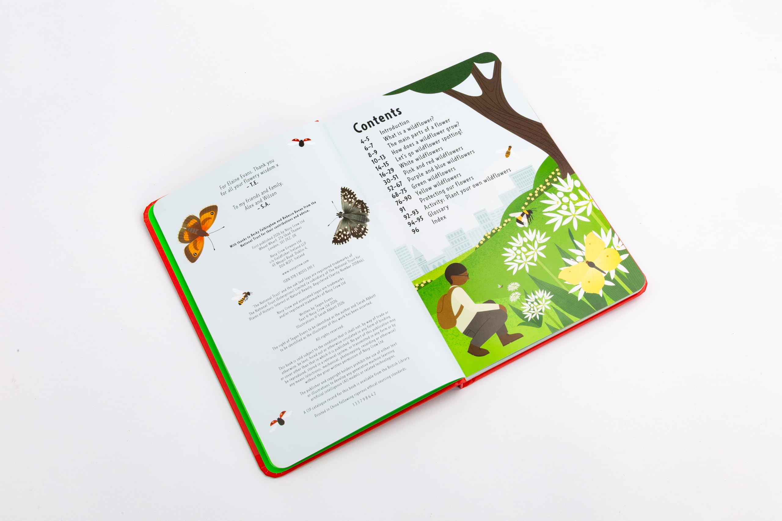 National Trust: Out and About: Wildflower Spotter: A children's guide to 65 different wildflowers