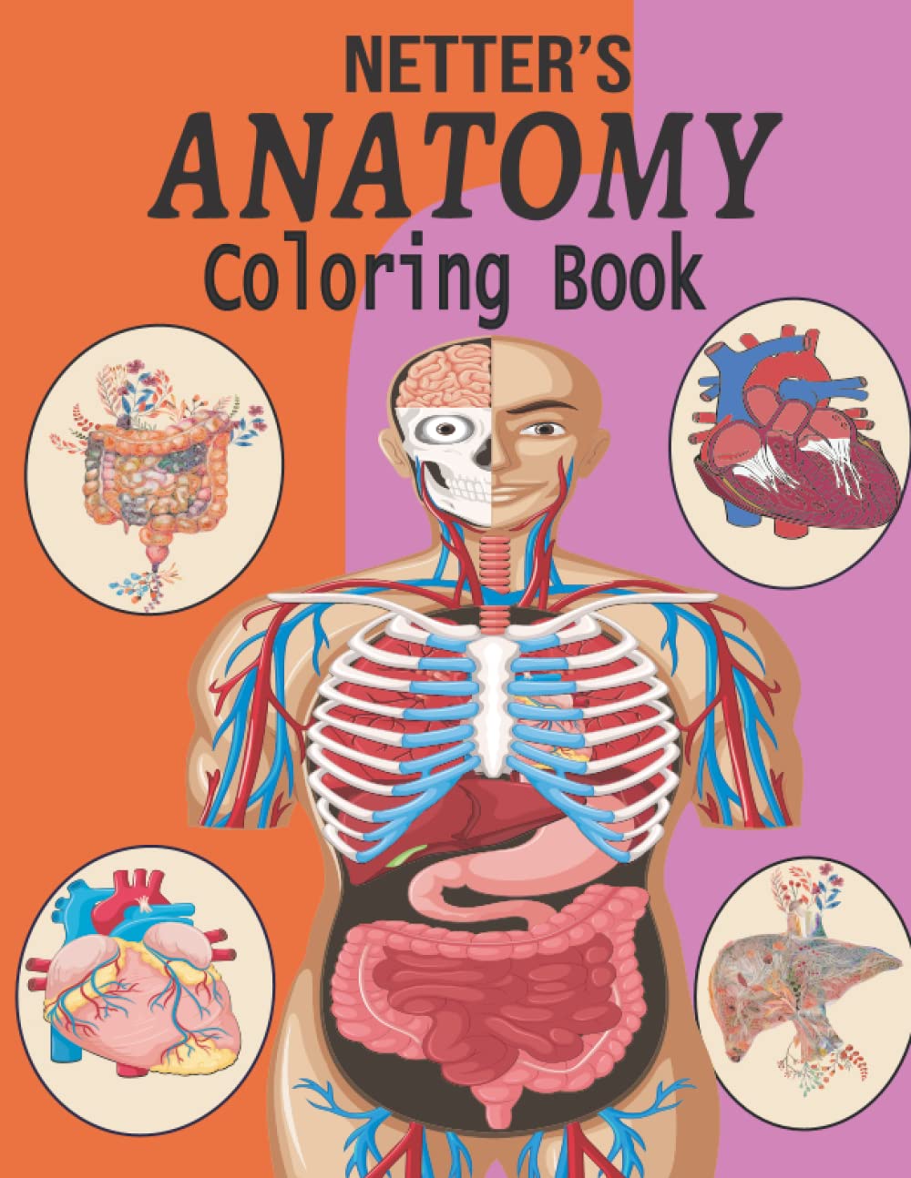 NETTER’s ANATOMY COLORING BOOK Netter's Anatomy Coloring Book | Amazon.com.br