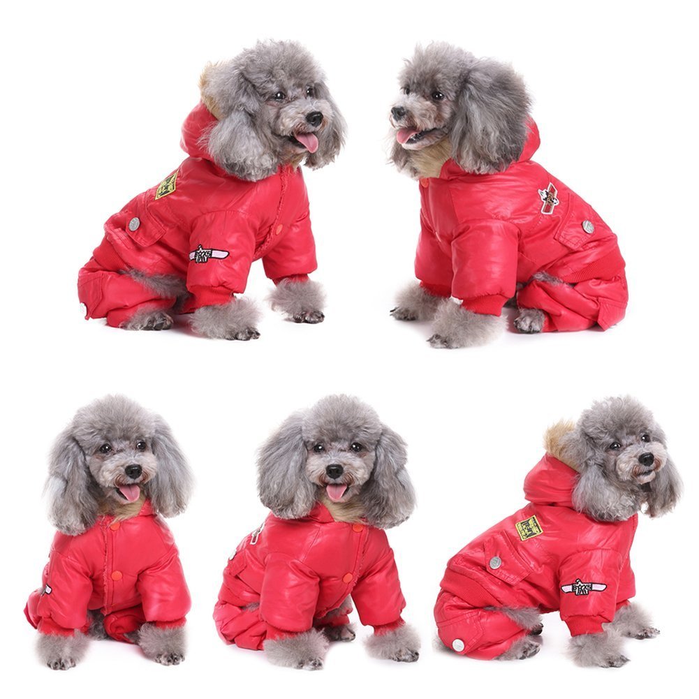 air force dog clothes