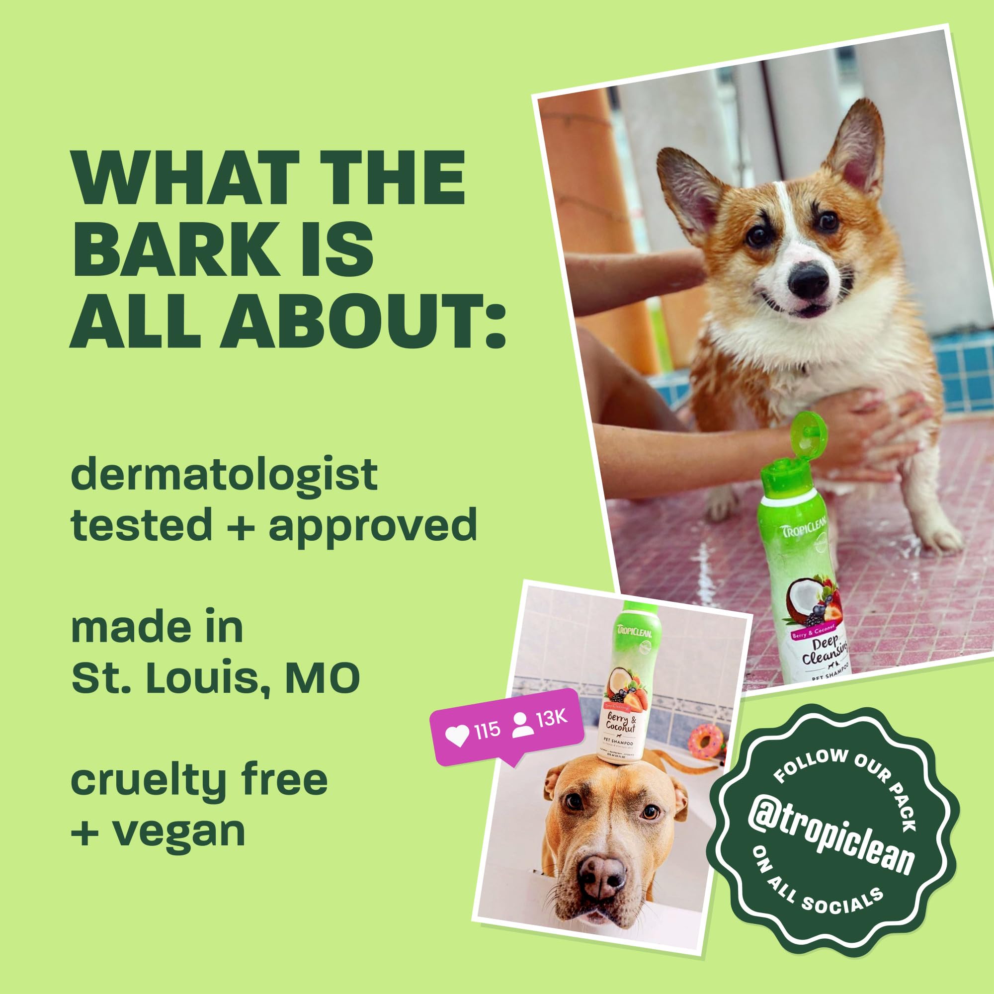 TropiClean Berry & Coconut Waterless Cat Shampoo | Deep Cleansing Dry Shampoo for Cats | Natural Cat Shampoo Derived from Natural Ingredients | Made in the USA | 7.4 oz. - image 5