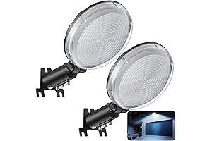 Barn Lights 100W LED Flood Lights, Pack of 2