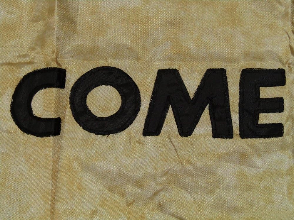 AES 3x5 Embroidered Gonzales Gonzalez Tea Stained 210D Nylon Flag 3'x5' w/ 2 Clips
