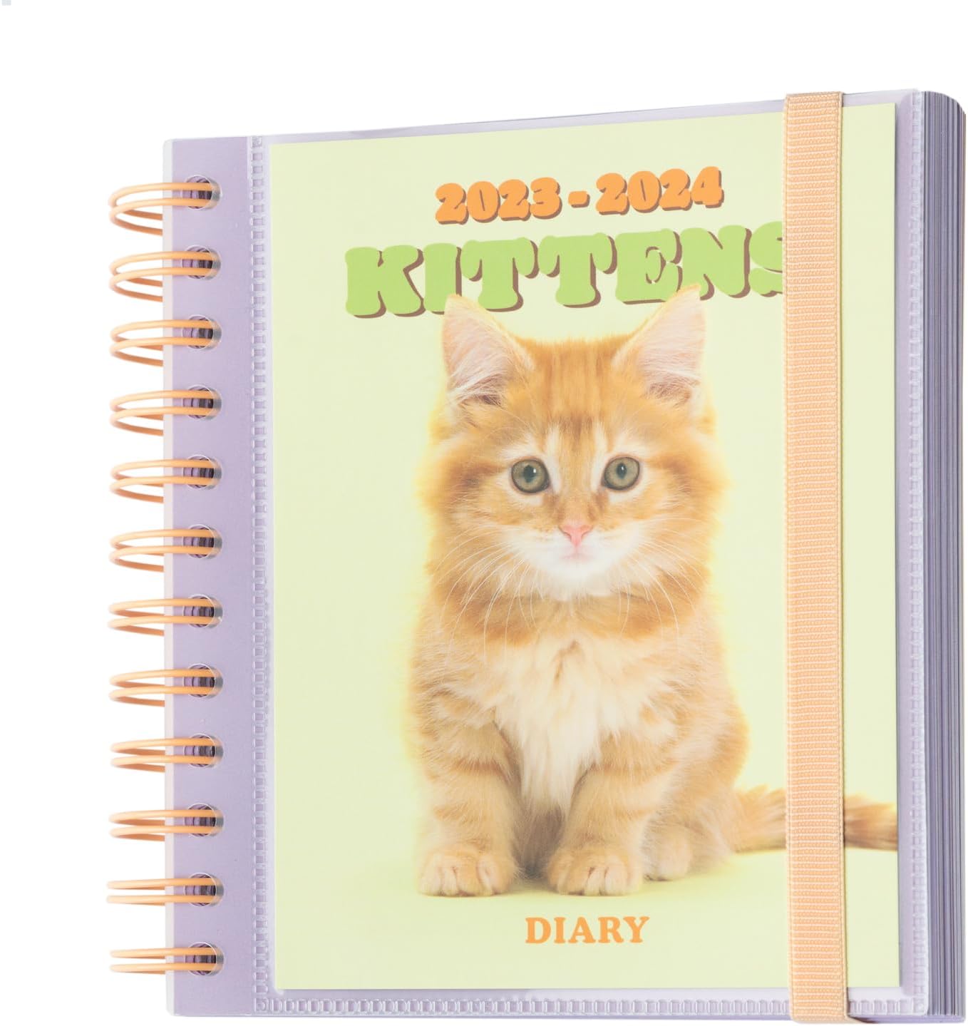 Grupo Erik Schulplaner 2023 2024 Katzen - Cats Kalender 2024 ...