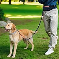 Vista 7 de Yaxa Basics Correa para perro manos libres con bolsa para correr, cinturón ajustable, asas acolchadas dobles, correa elástica reflectante