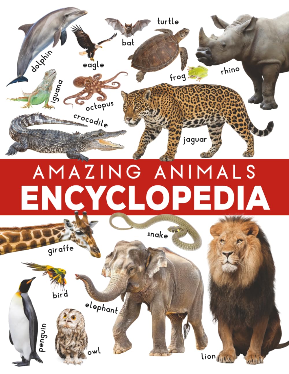 Amazing Animals Encyclopedia: A Visual Encyclopedia of 80 Vertebrates for Kids Ages 7-11 — Amphibians Reptiles Birds and Mammals with Fun Facts Scientific Names Lifespan and Conservation Status