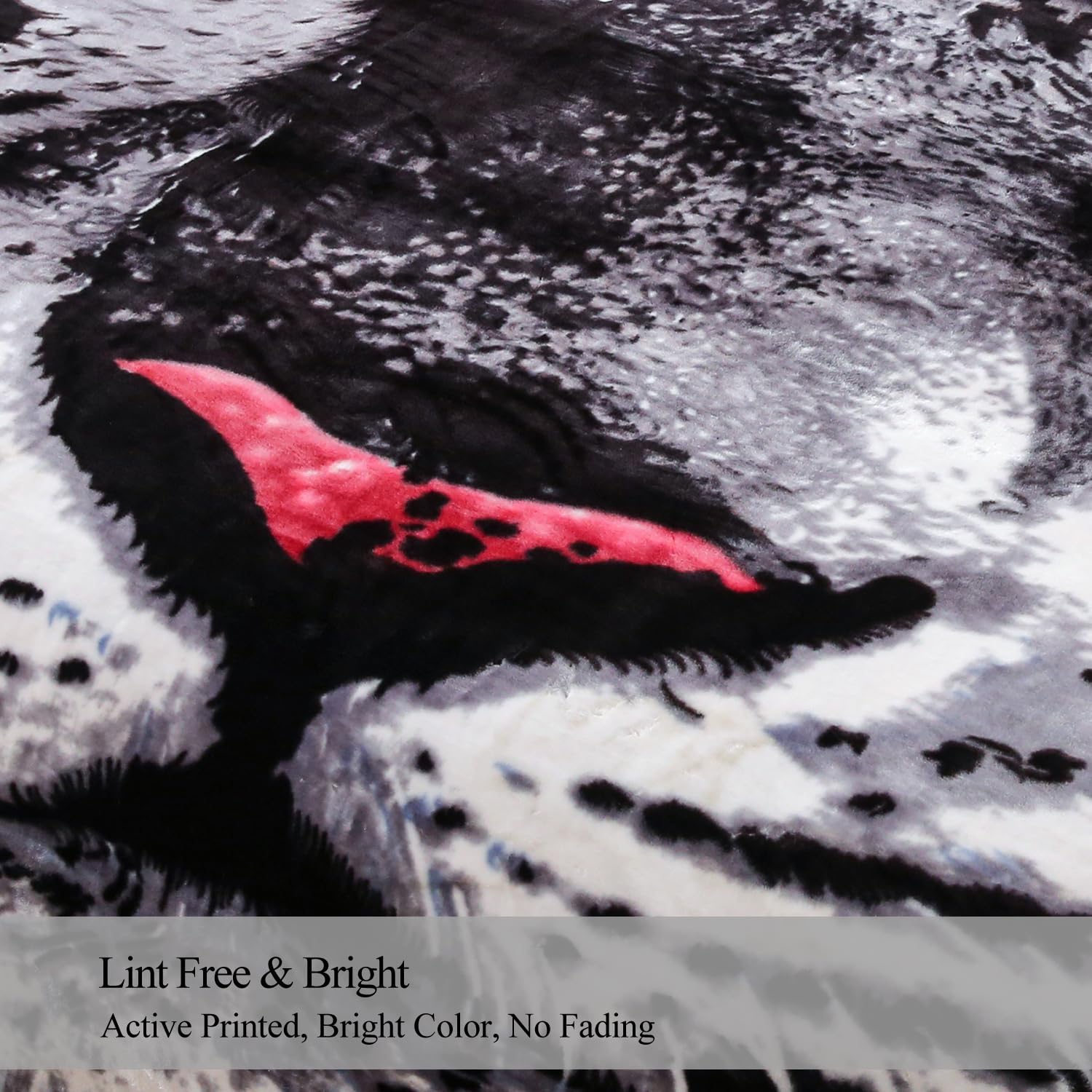 JML Korean Style Fleece Blanket King Size, 87" x94", 10.5 Pounds, Heavy Raschel Fleece Blanket, Perfect for Fall Winter, 2 Ply A&B Animal Printed, Silky Soft Plush, Thick, Warm, Tiger Stripe - Image 6