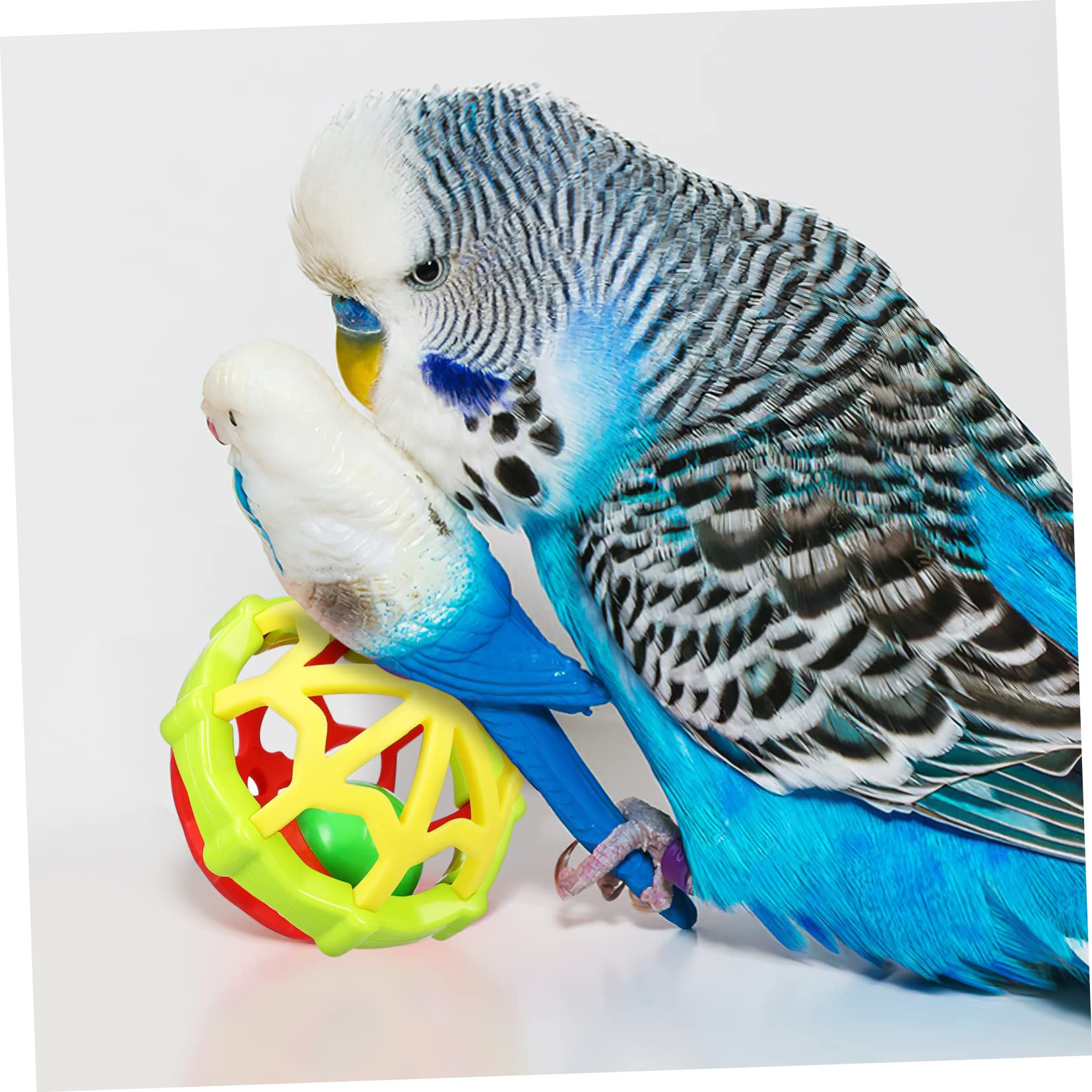 Toddmomy 15piezas De Juguete para Aves Juguetes De Masticación para Periquitos y Accesorios para Jaula De Natural y Goma Diversión y Enriquecimiento para Aves Pequeñas