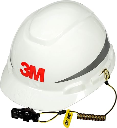 3M DBI-SALA 1500179 100EAPACK