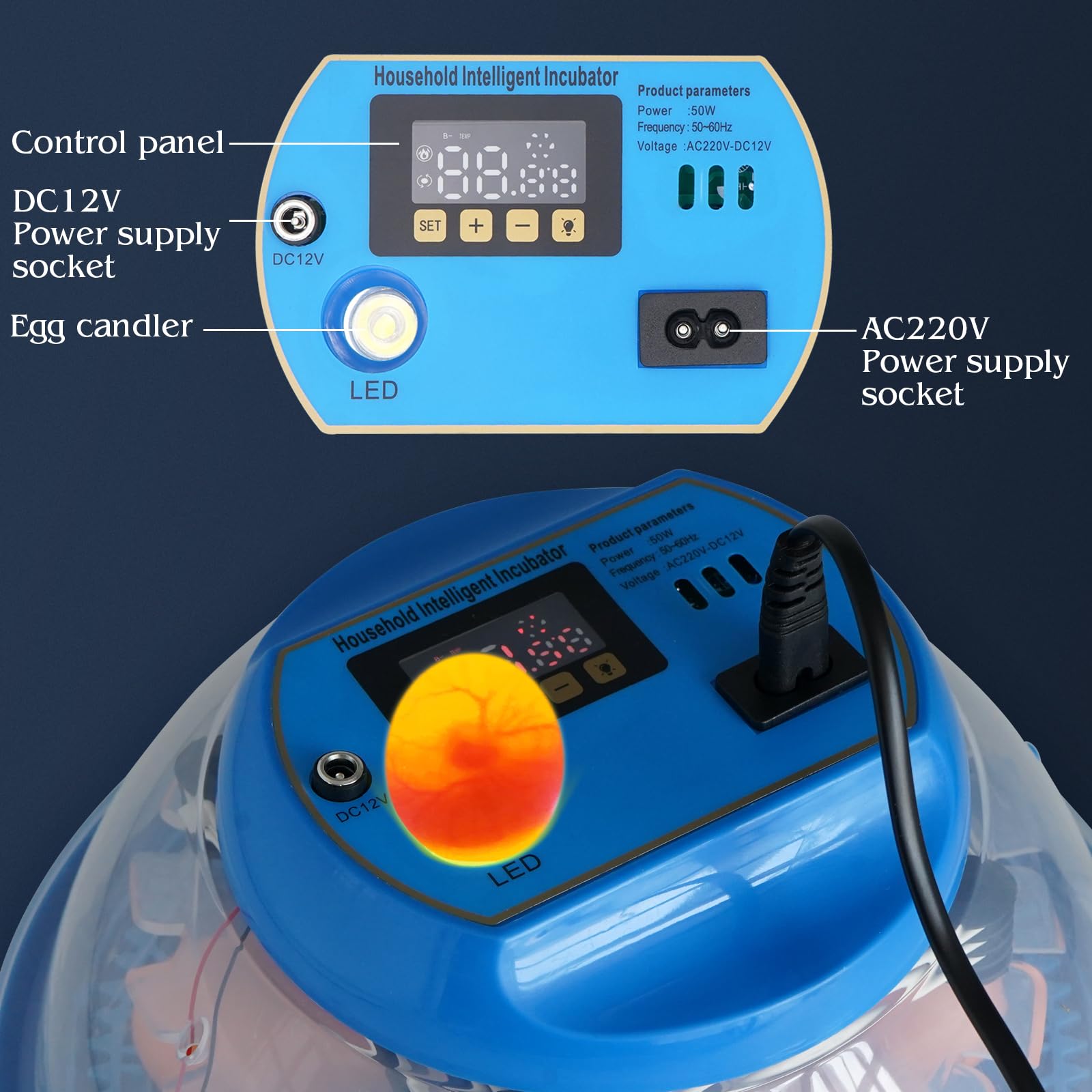 Incubadora Huevos Gallina Automatica,Incubadora Para 8 Huevos, Incubadora Para Giro AutomáTico de Huevos y Control de Temperatura, Pantalla LED Digital, Adecuada Para Patos Gansos Palomas Codornices