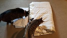 Review Image by Katie Katie