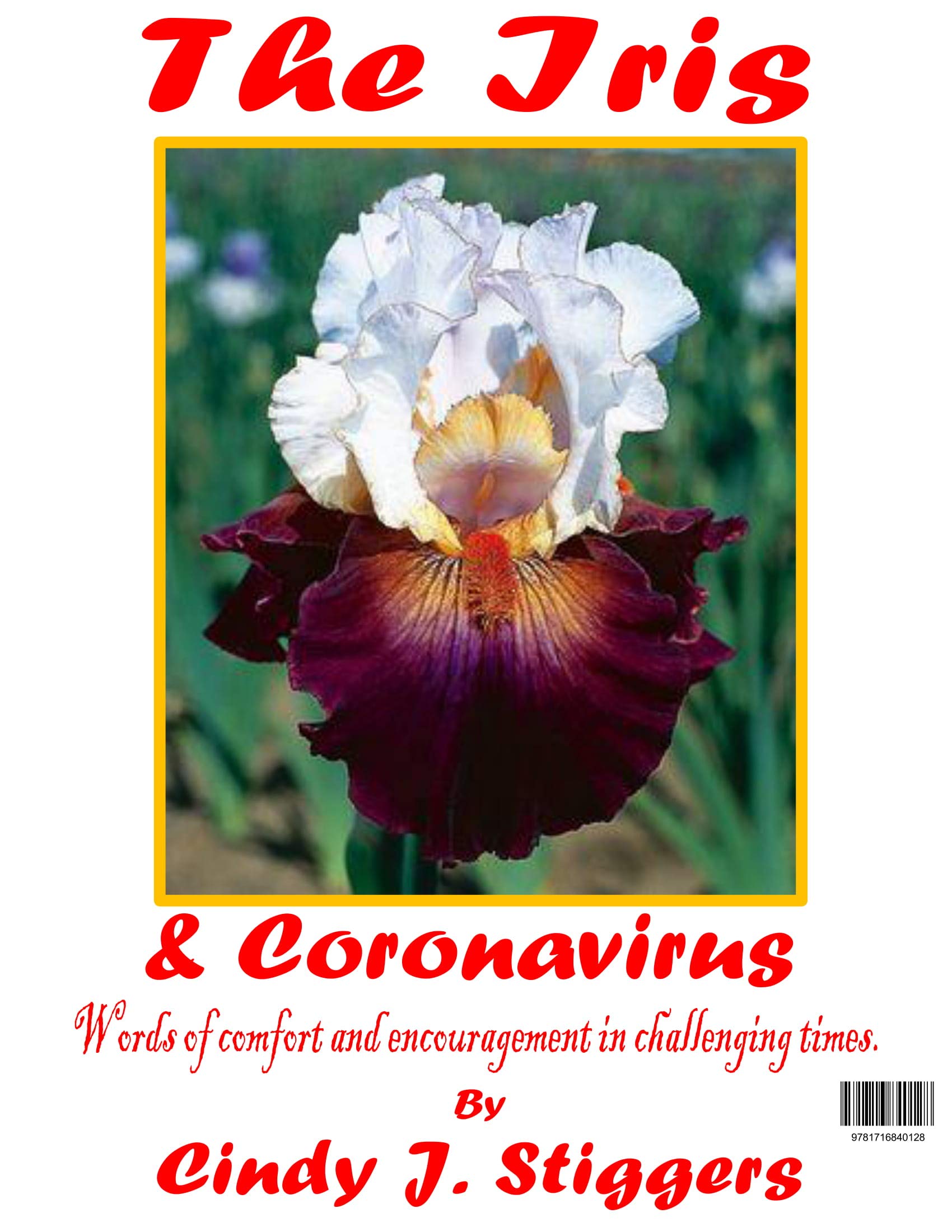 The Iris & Coronavirus English Edition Livre au format Broché