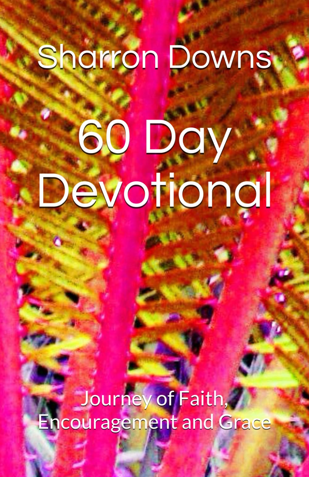 60 Day Devotional: Journey of Faith, Encouragement and Grace