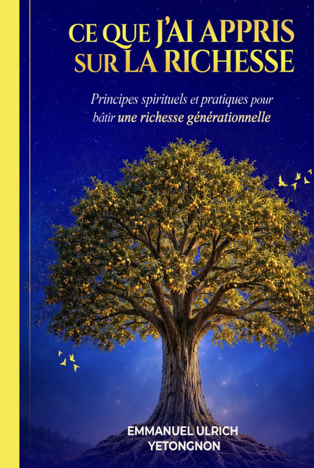 Ce que j’ai appris sur la richesse: Principes spirituels et pratiques pour bâtir une richesse générationnelle