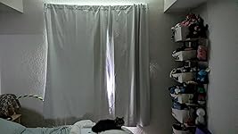 Review Image by Sophia A. Sophia A.