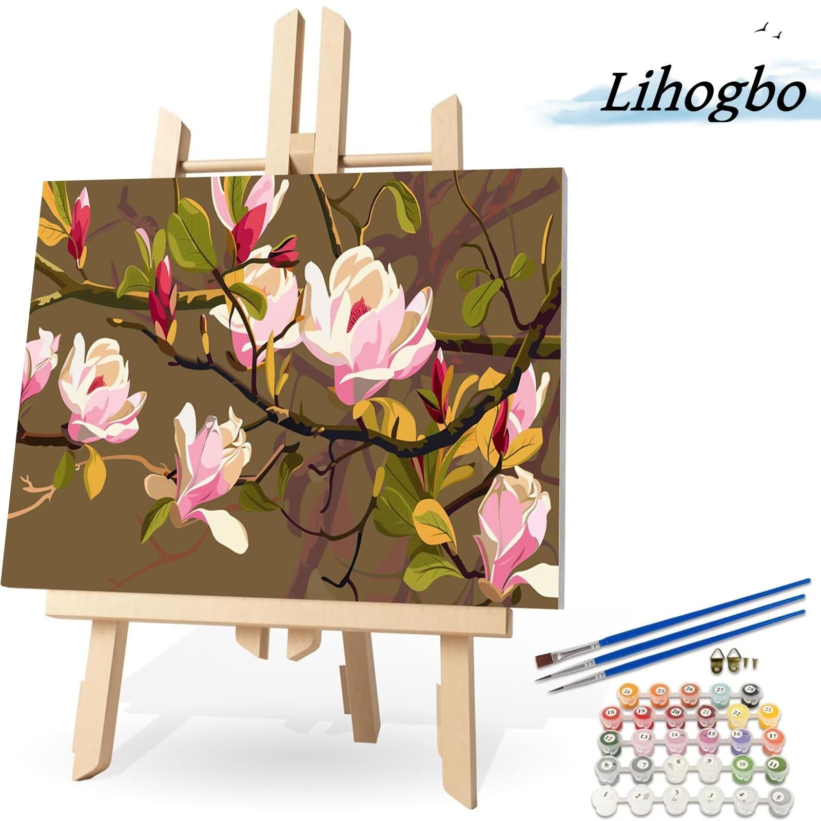 Dipingere con i Numeri Adulti,Magnolia rosa Kit di Pittura a