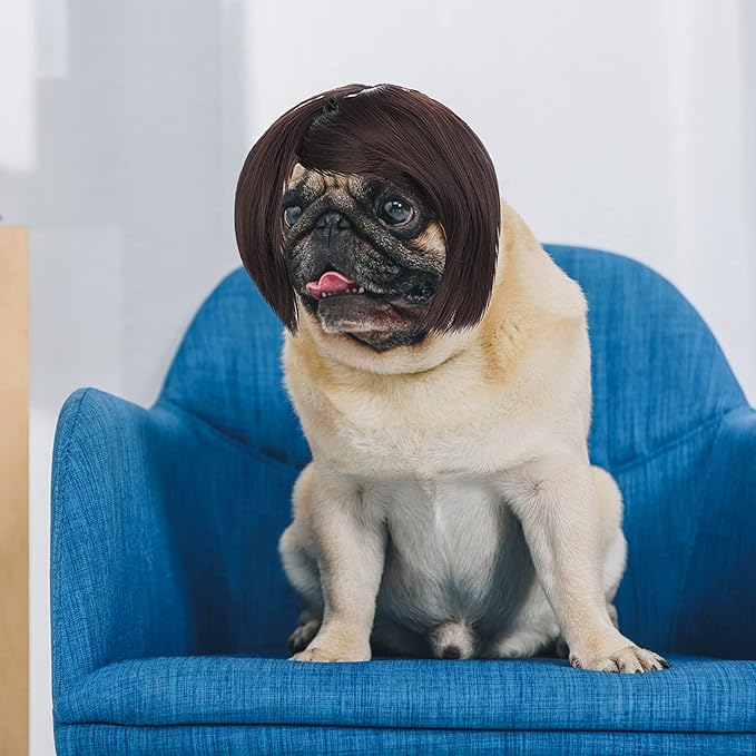 Peluca Divertida para Perro y Gato Cobee, Disfraz Ajustable miniatura 5