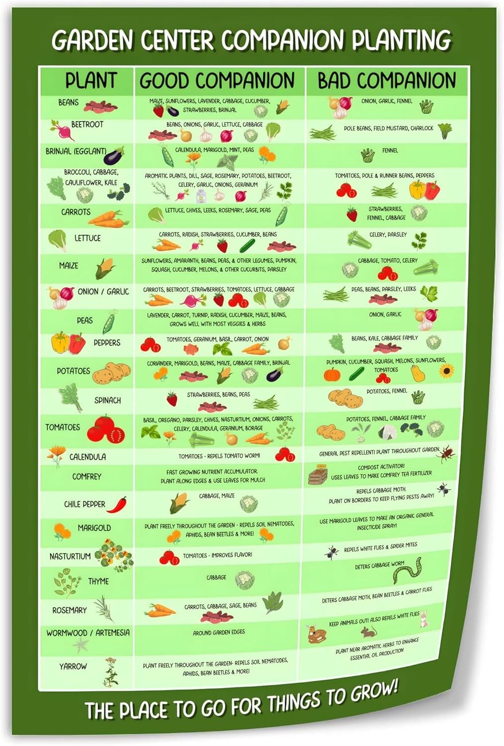 XGINERFEX Vegetable Companion Planting Guide Garden Layout Plant Combinations Chart For Pest Control Gardeners(Framed,08x12inch(20x30cm))