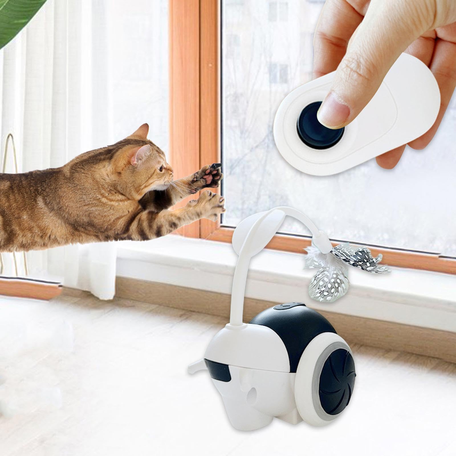F Fityle Giocattolo Automatico per Gatti, Giocattolo interattivo per Gatti, Accessori per Animali Domestici, arricchimento dell'esercizio per Gatti Adulti, Nero
