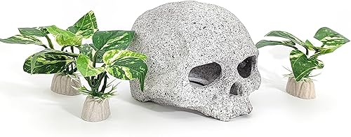 Decoraciones de acuario de peces con ventana de visualización para decoración de pecera Betta (verde 4)