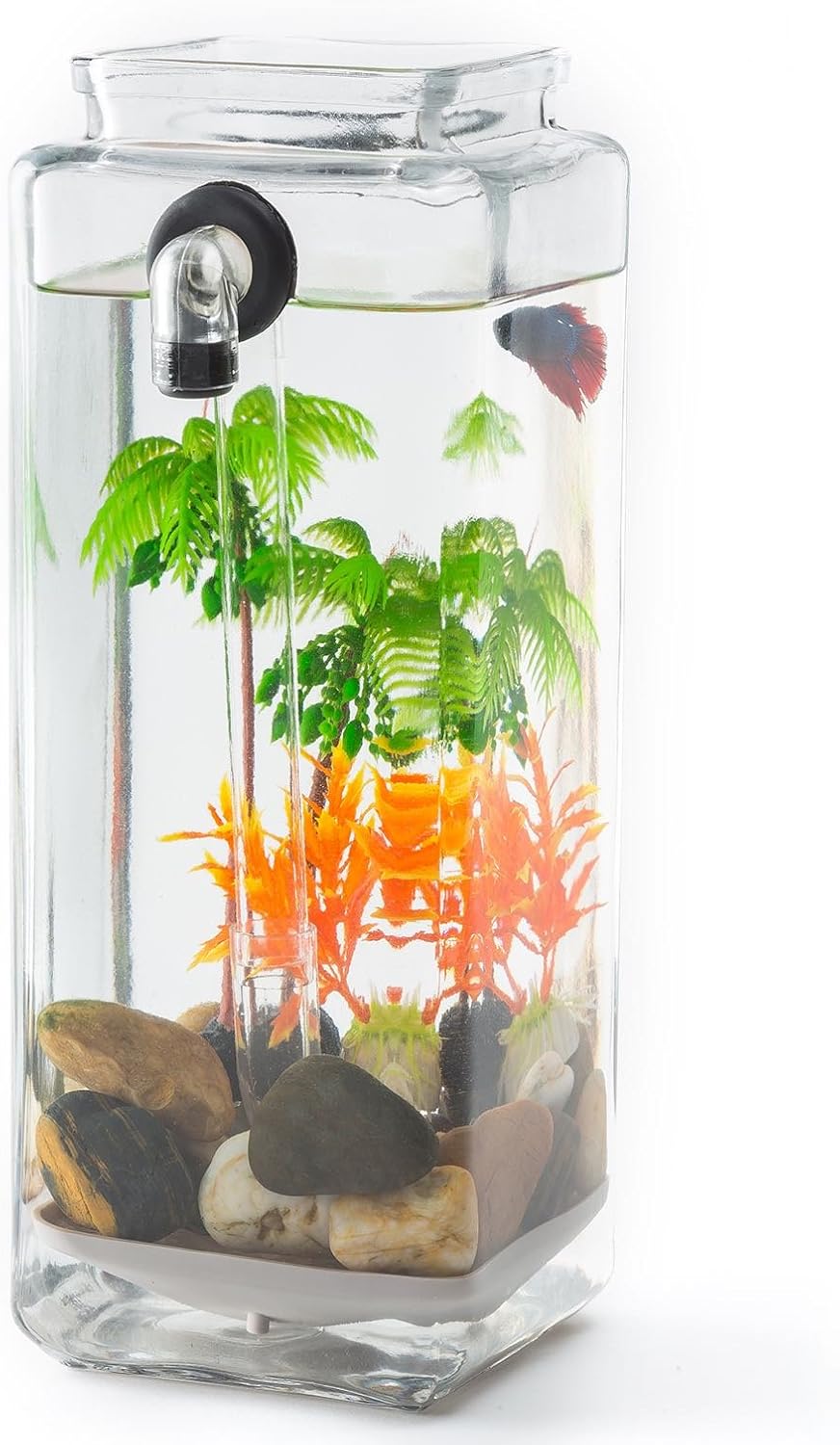 self cleaning fish tank amazon