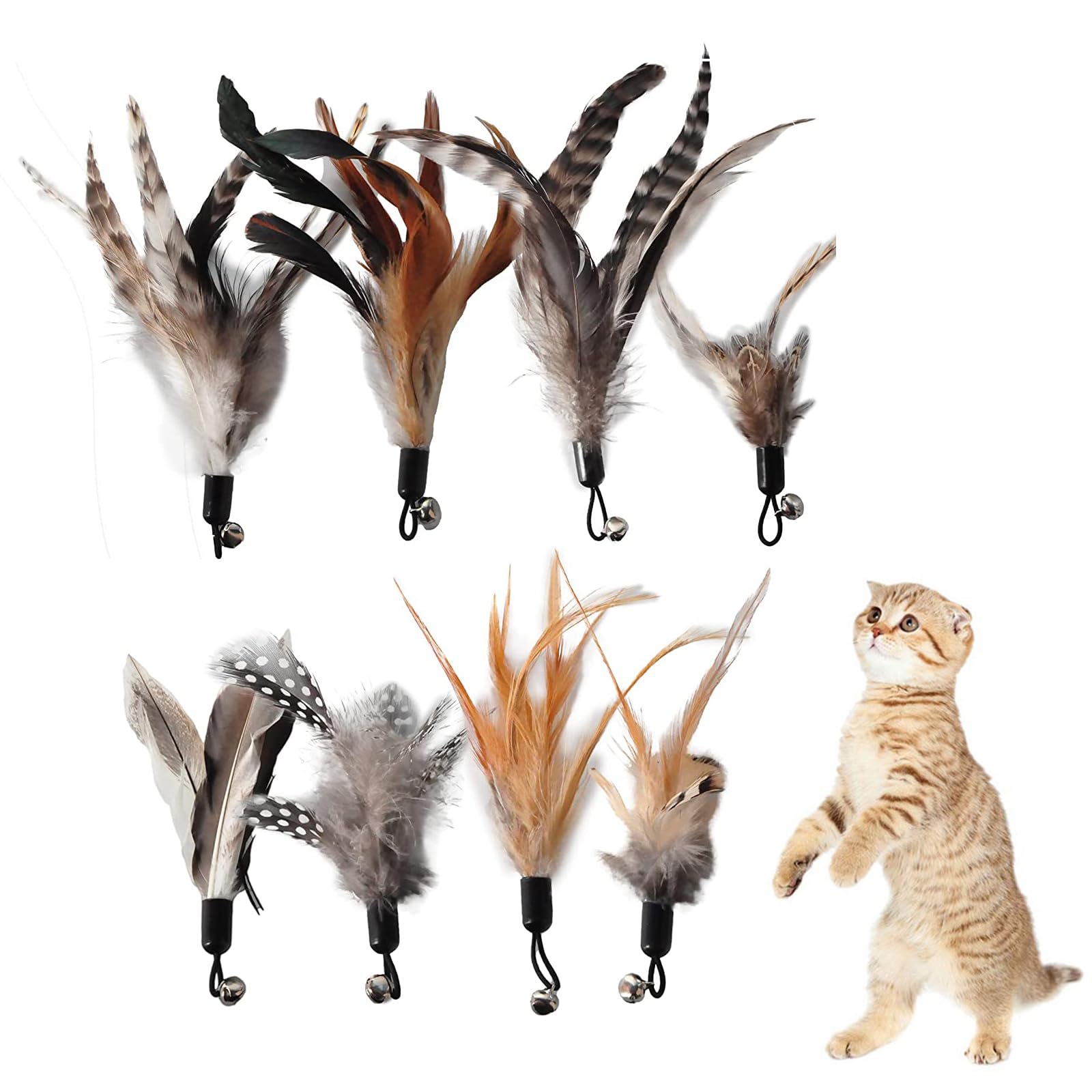 Kireida® Juego de 8 juguetes de plumas para gatos, sin colorantes químicos, incluye recambios para plumas naturales de gato
