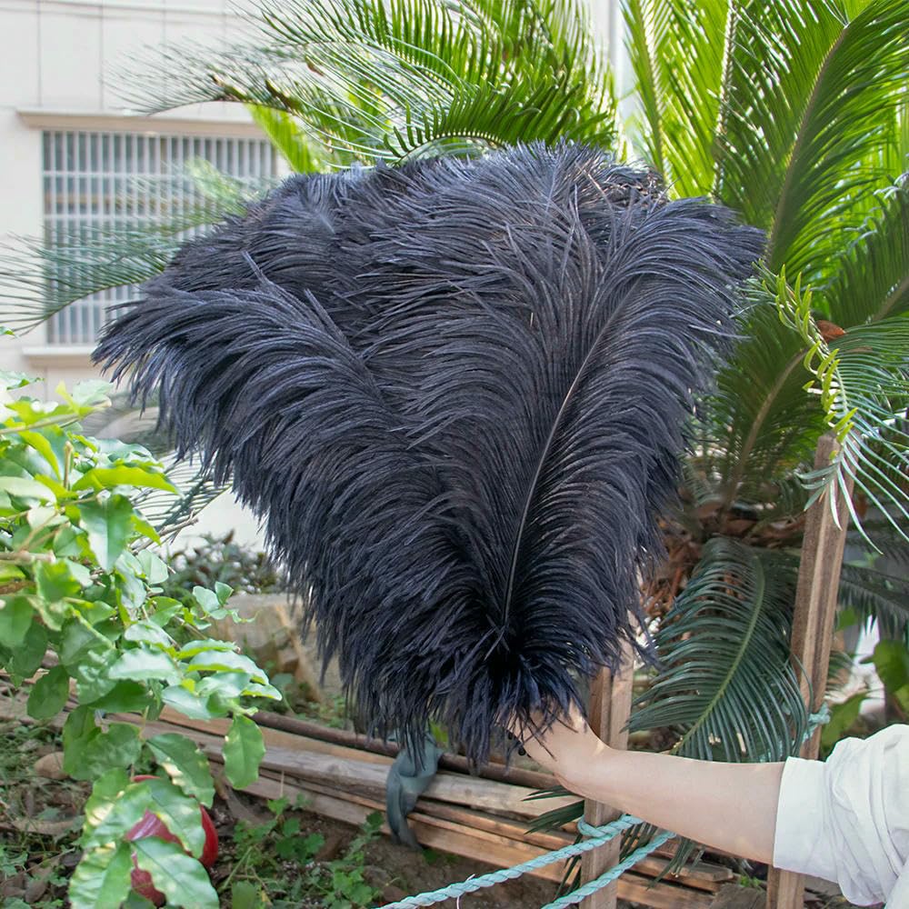 10 pezzi 25-50 cm piume di struzzo viola per artigianato, decorazioni di carnevale, centrotavola, vasi, accessori artigianali - nero - 40-45 cm