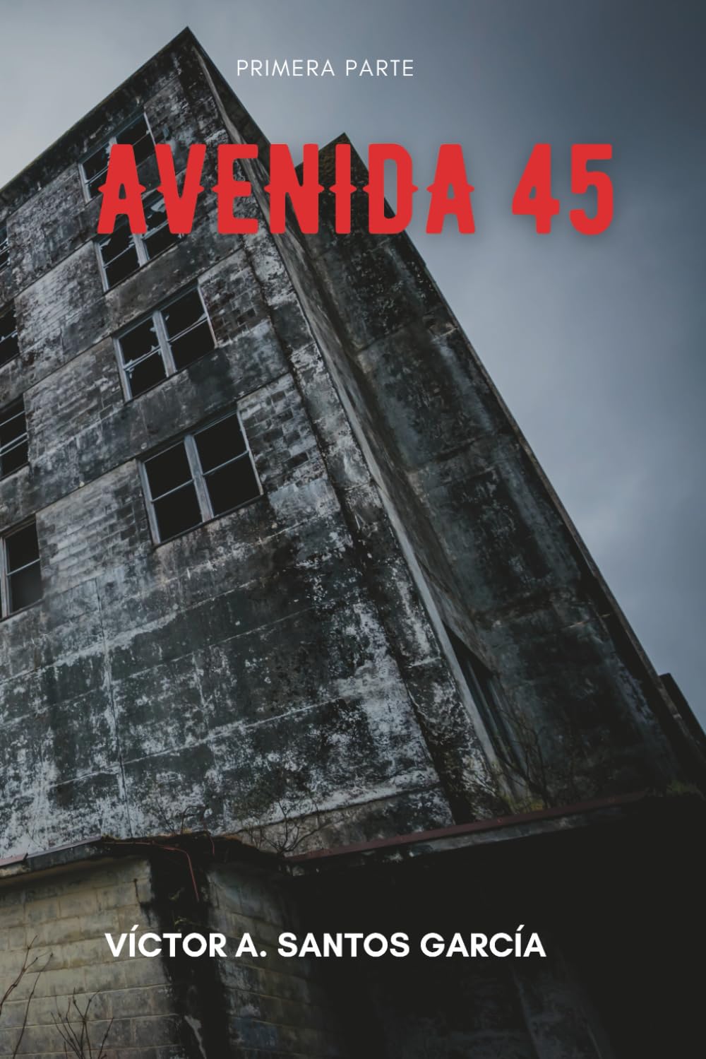 Avenida 45: El incidente (Spanish Edition)