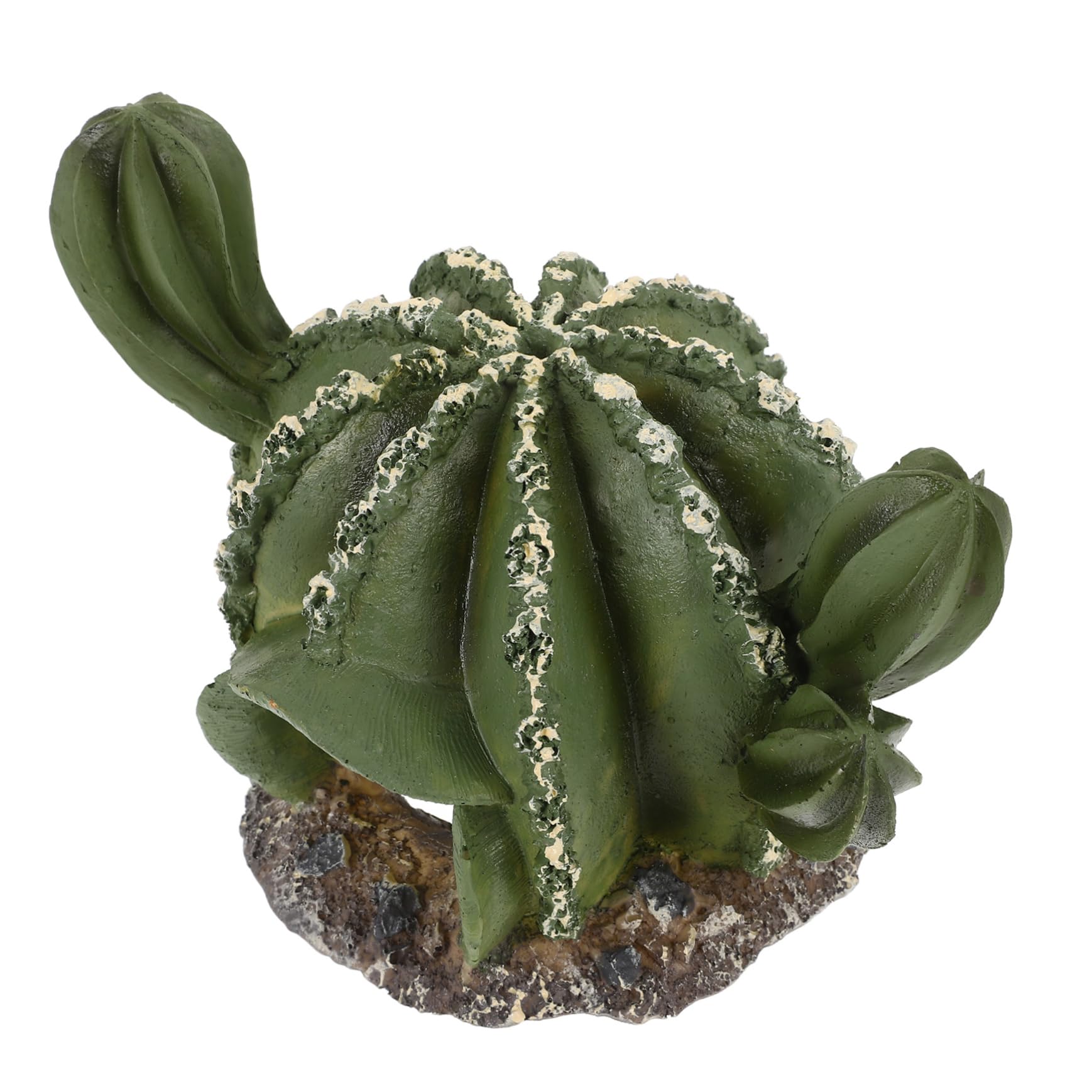 VANZACK 4piezas Cueva De Reptiles De Forma De Cactus Refugio Decorativo para y Terrarios Natural para y De Ocultación para Reptilianas