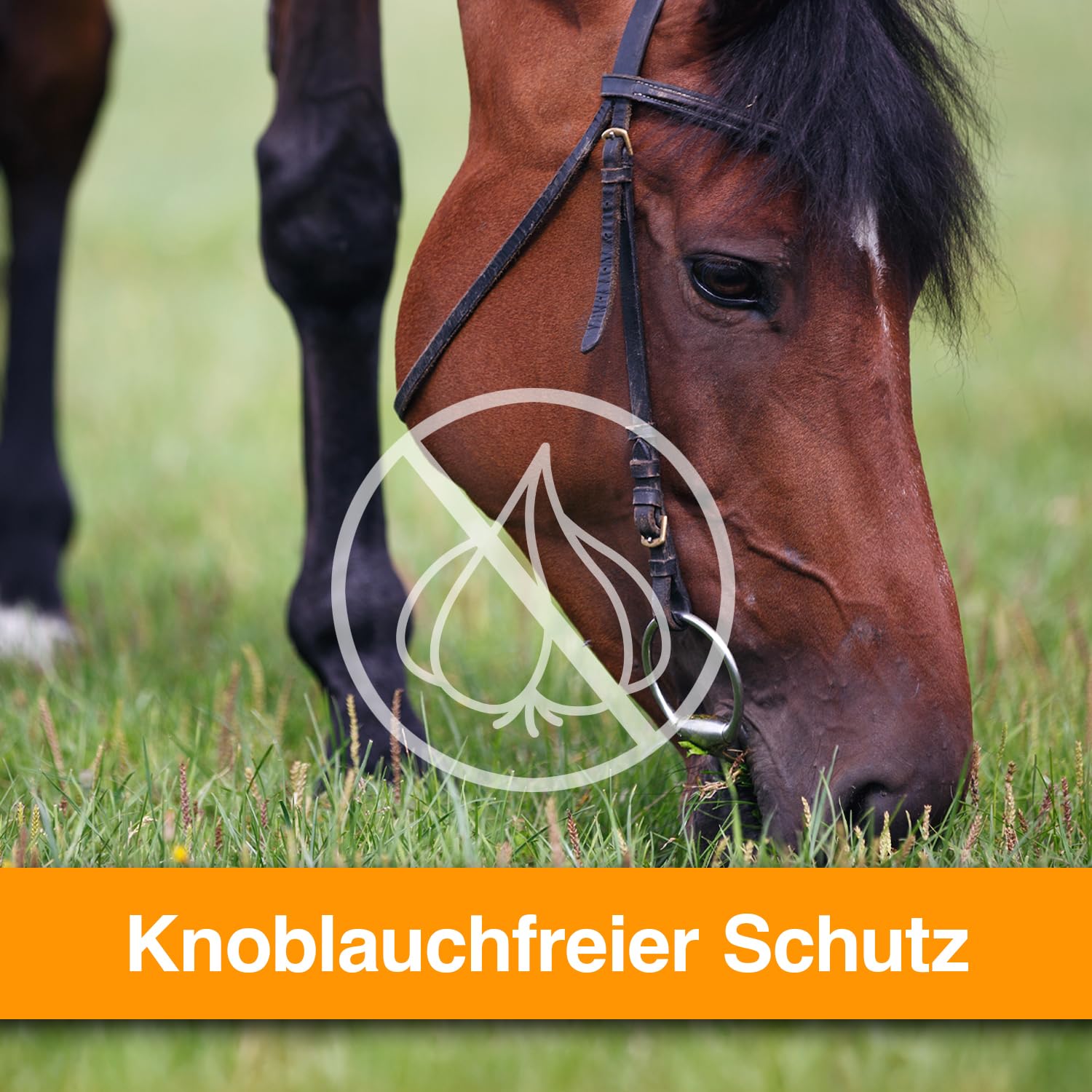 KerbEX Orange Insektenabwehrmittel für Pferde bei leichtem bis mittlerem Insektenbefall – Ohne Geruchsstoffe, langanhaltender Schutz vor Bremsen, Mücken, Kriebelmücken und Zecken – 1L ohne Sprühkopf