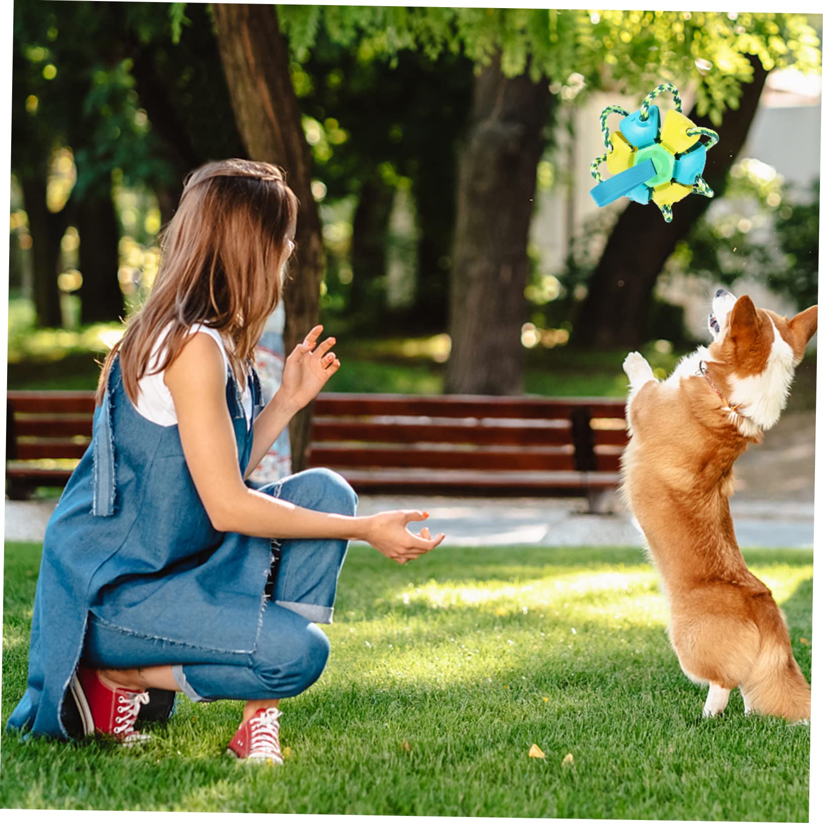 Hunde Wurfball Spielzeug für Draußen, Interaktiv, 1 Stück, Kunststoff