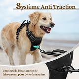 rabbitgoo Dog Harness Large Dog No Pull Pet Harness with 2 Leash Clips, Adjustable Soft Padded Pet Vest, Reflective No-Choke with Easy Control Handle for Training or Walking, Black, L - 5