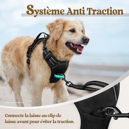 rabbitgoo Dog Harness Large Dog No Pull Pet Harness with 2 Leash Clips, Adjustable Soft Padded Pet Vest, Reflective No-Choke with Easy Control Handle for Training or Walking, Black, L - 5