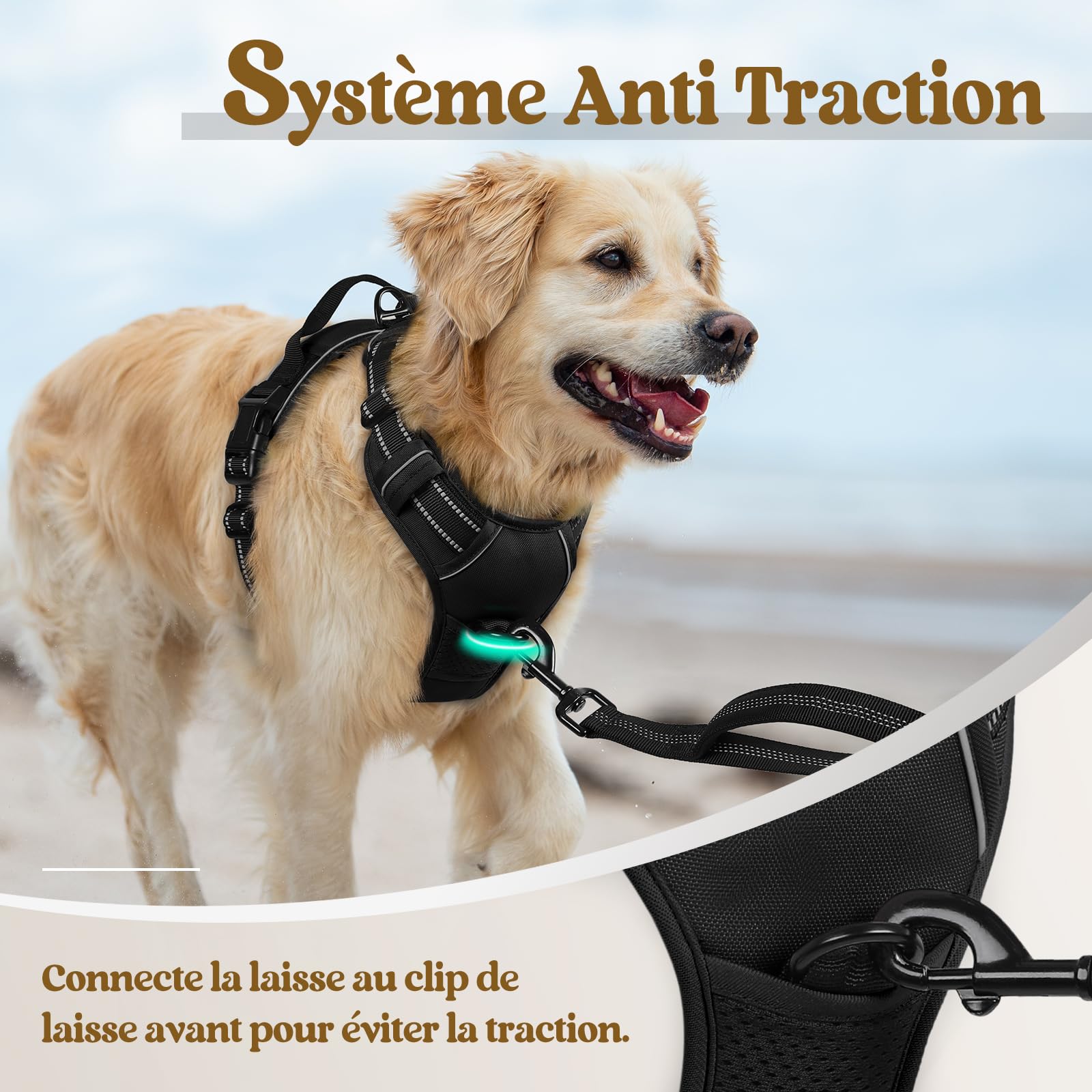 rabbitgoo Harnais Chien Anti Traction, Arnet pour Chiens avec Poignée Contrôl, Facile à Mettre, Gilet Réfléchissant Réglable avec Attache Devant, Harnais pour Chien Moyen Grand, Noir, L
