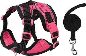 Cat Harness and Leash Set for Walking – Escape-Proof Reflective Vest for Cats and Small Dogs, Adjustable Soft Air Mesh with Pressure-Reducing Design, 4.92ft (Black & Rose, S)