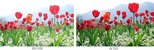 Miniatura 8 de Tronixpro Filtro de protección ultravioleta digital de alta resolución de 2441in Pro Series  paño de microfibra Tronixpro