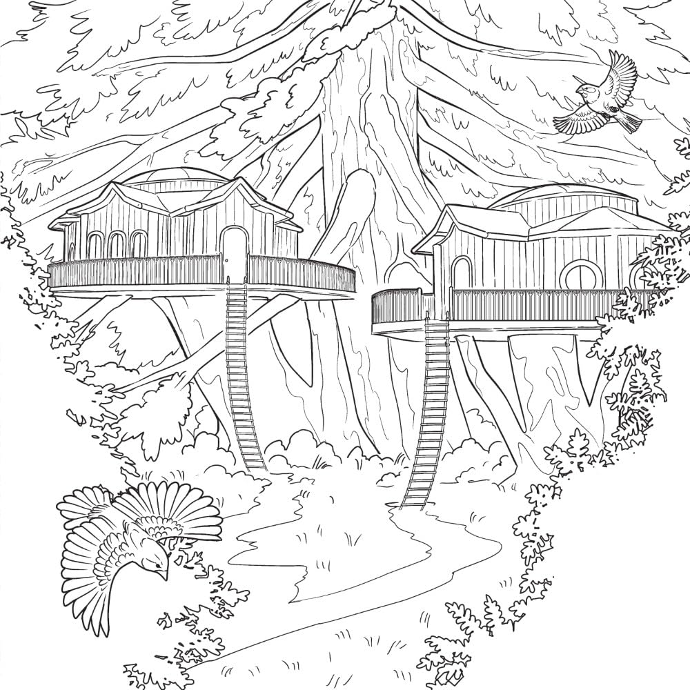 Shield of Sparrows: The Official Coloring Book