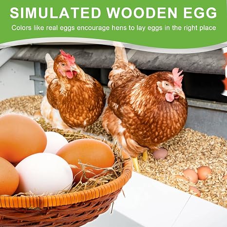 6pcs Fake Chicken Eggs Wooden Eggs for Crafts Arts Imitation Dummy Eggs Artificial Poultry Hens Eggs Nest Eggs Helps Encourage Laying or Prevent Eating Eggs or Home Decorations