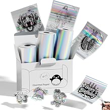 Memoking T02/M02L/Q02E/M02/M02X Thermal Paper Laser Sticker