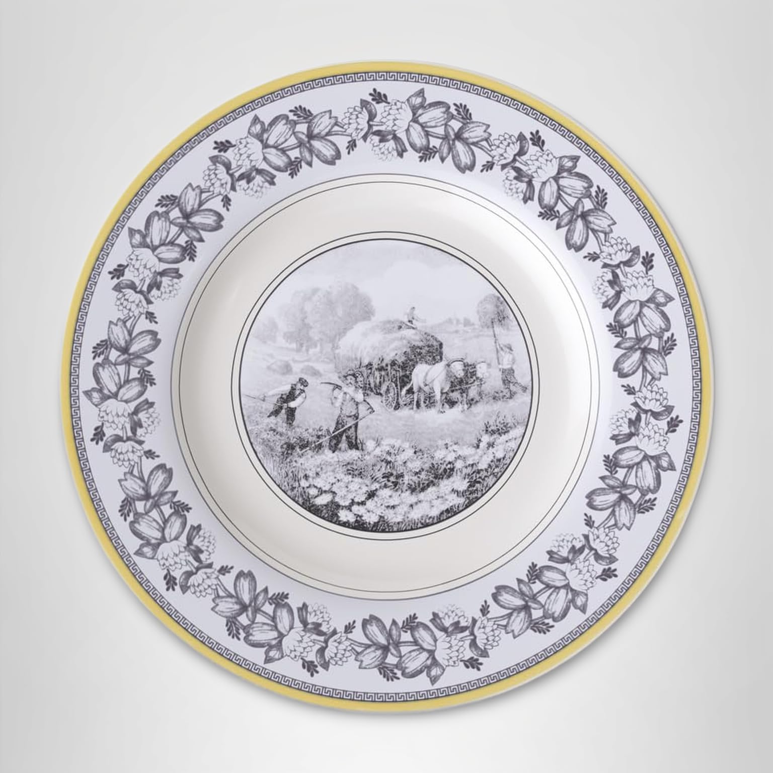 Amazon.com | Villeroy & Boch Audun Ferme Dinner Plate, 10.75 in