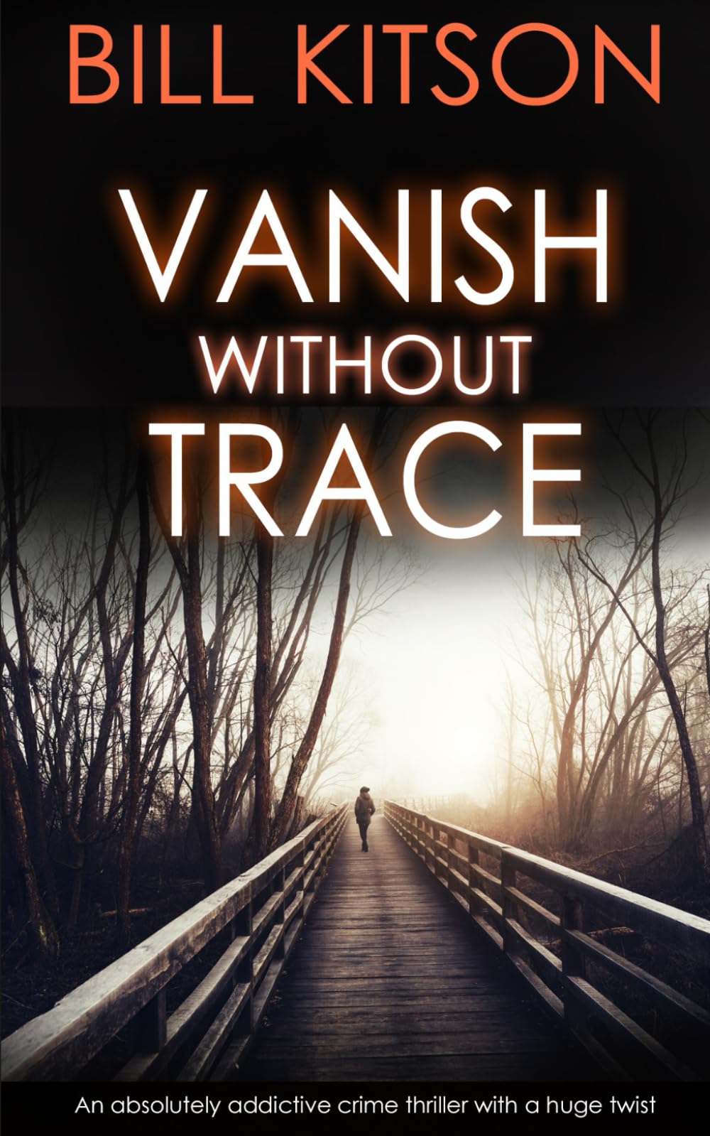 VANISH WITHOUT TRACE an absolutely addictive crime thriller with a huge twist: 2 (Detective Mike Nash)