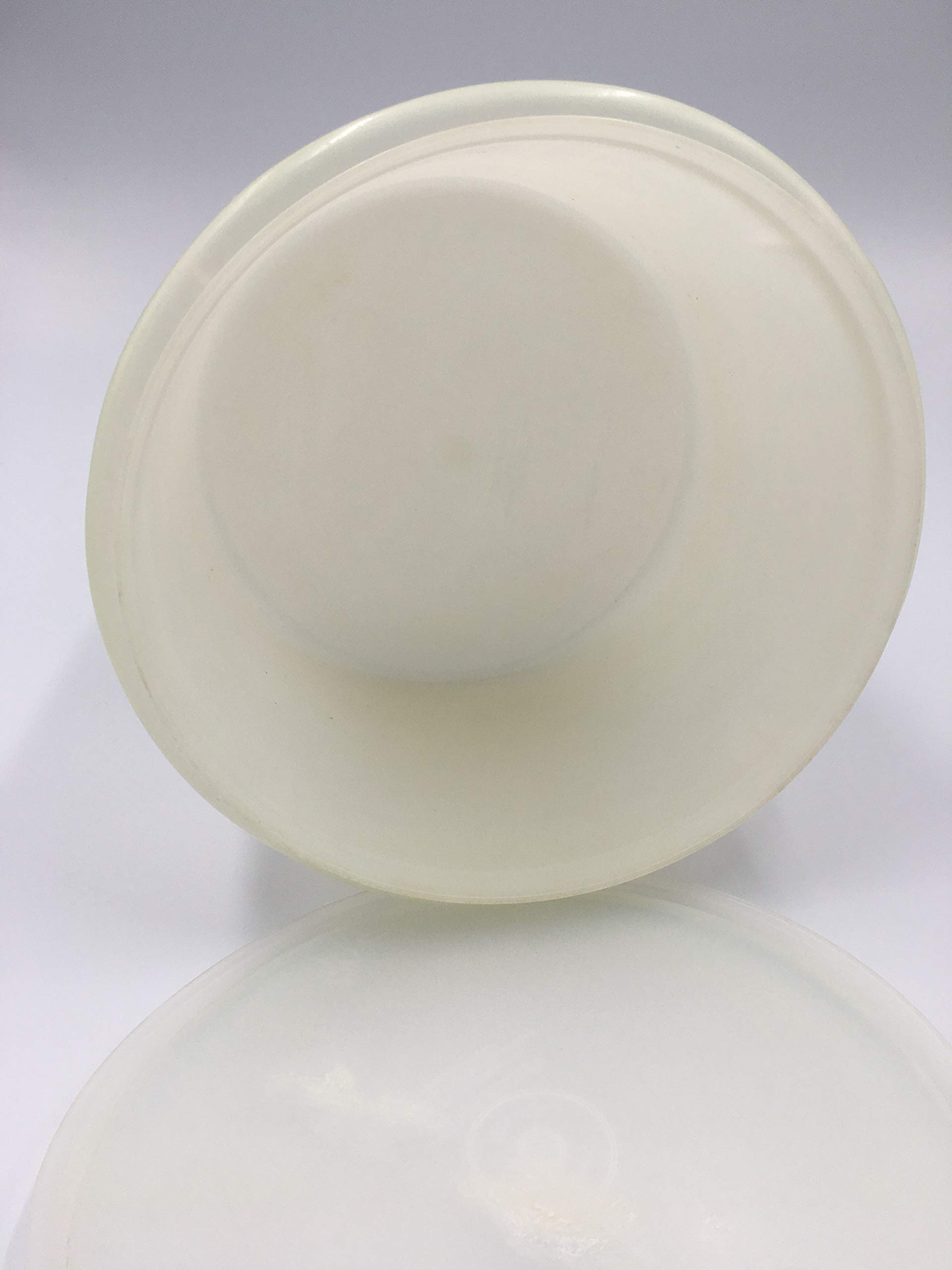 Amazon.com: Tupperware Sheer White Large Canister # 266 with