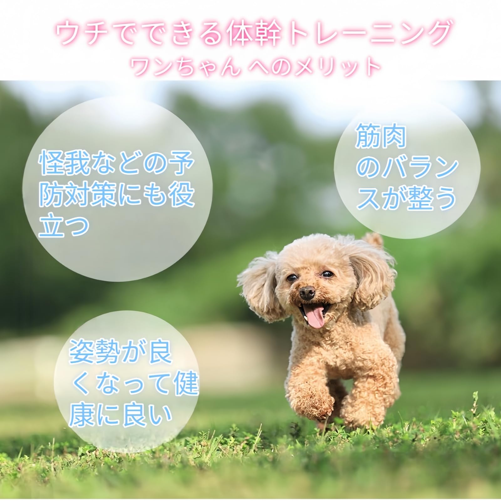 Amazon | Ruying バランスボール 犬 ベース付 ドッグ ドーナツバランス