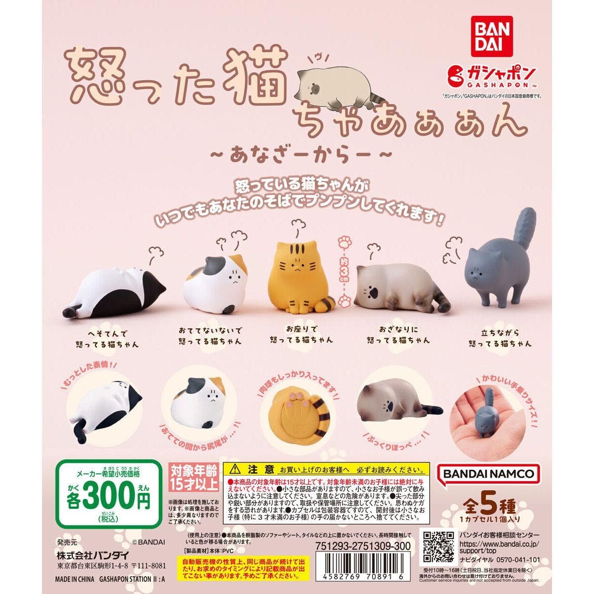 Amazon.co.jp: 怒った猫ちゃあぁぁん あなざーからーVer. おててない