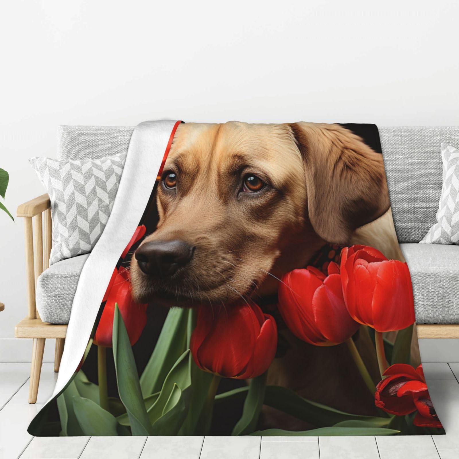 Couverture polaire pour chien en flanelle douce haut de gamme