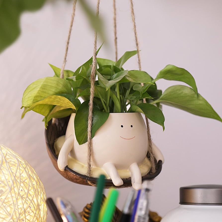 ・ lily (◍•ᴗ•◍)❤ Amazon.com: NINIPAPA Hanging Swing Chair Planter Pot Smile