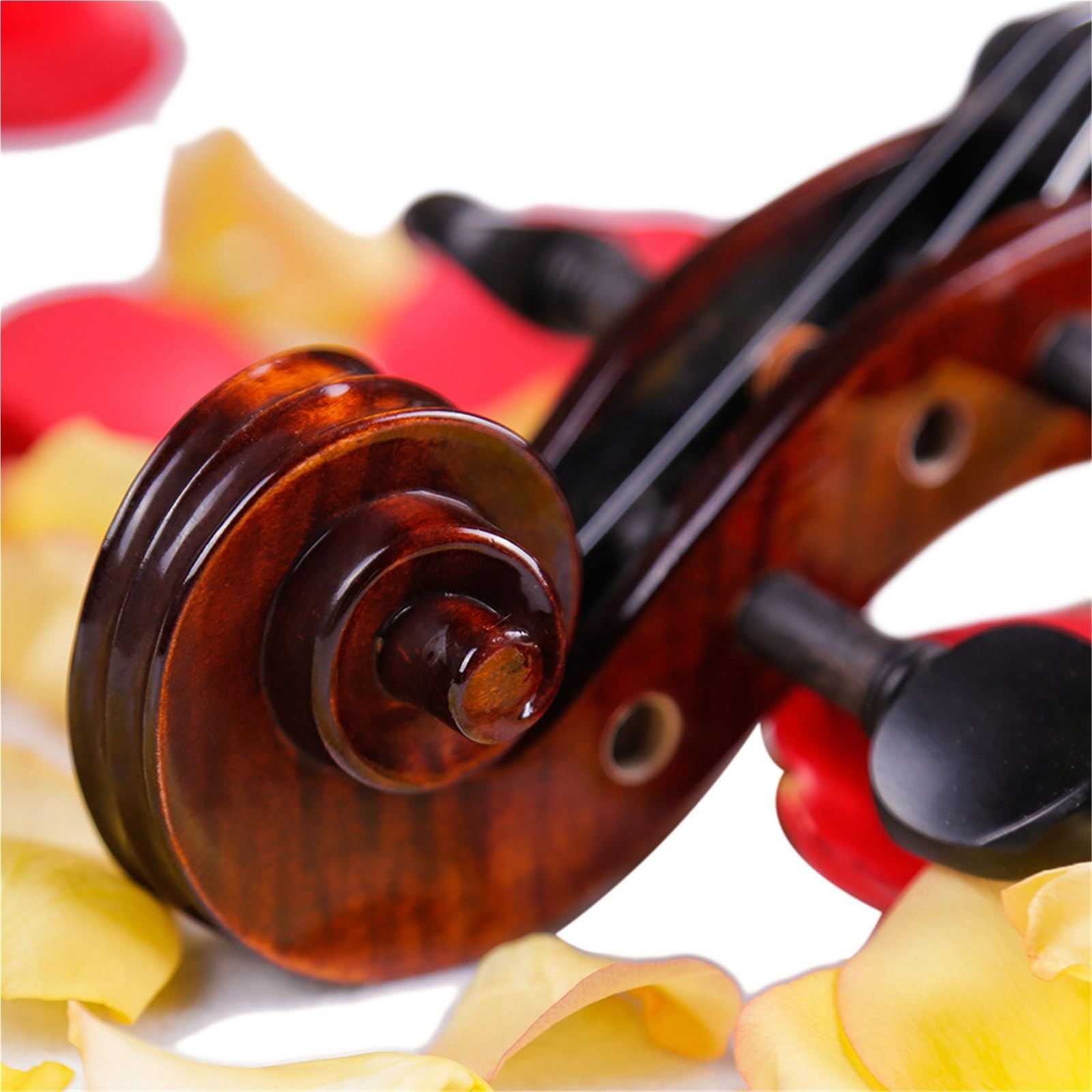 Violino Set Livello Di Prestazione 4/4 Violino Intaglio Del Pizzo Esame Professionale Violino(4/4)