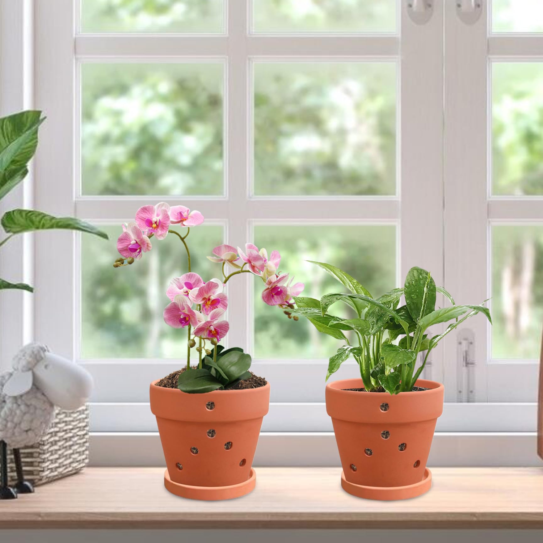 Pots d'orchidées en terre cuite avec trous 4 pouces 3 pièces soucoupes